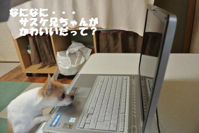 蟆城未+1106_convert_20120928105554