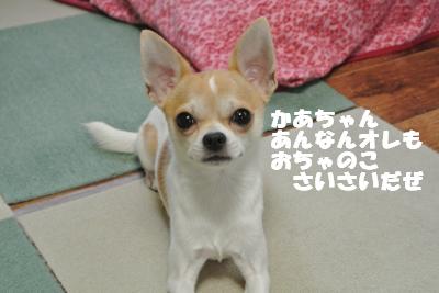 蟆城未+1104_convert_20120928105758