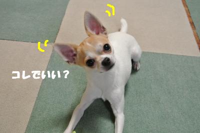 蟆城未+1116_convert_20120928105828