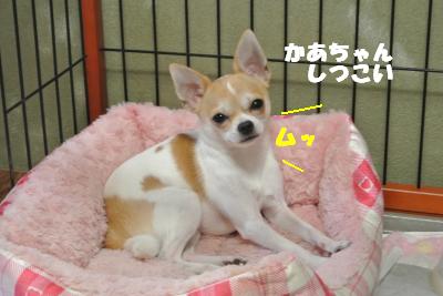 蟆城未+1107_convert_20120928105714