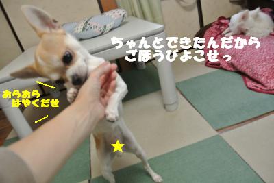蟆城未+1105_convert_20120928110005