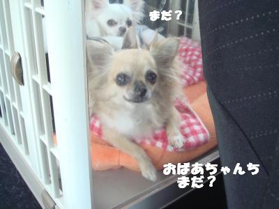 蟆城未+482_convert_20120928155310