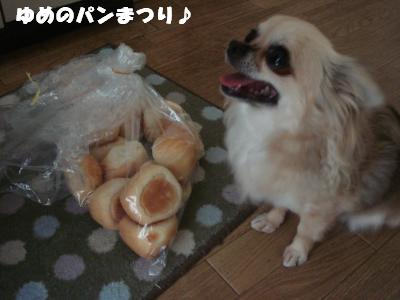 蟆城未+486_convert_20120928155359