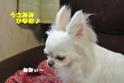 蟆城未+1103_convert_20120928155754