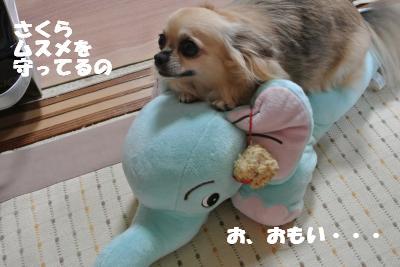 蟆城未+1121_convert_20121001132051