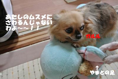 蟆城未+1122_convert_20121001132120