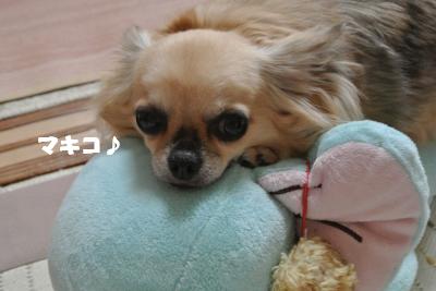蟆城未+1123_convert_20121001132153