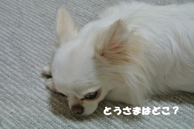 蟆城未+1128_convert_20121001132346