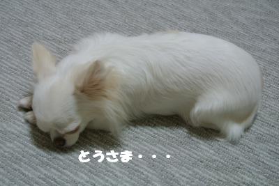 蟆城未+1127_convert_20121001132320