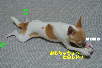 蟆城未+1125_convert_20121001132425