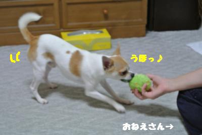 蟆城未+1131_convert_20121001132455