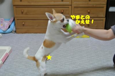 蟆城未+1132_convert_20121001132527