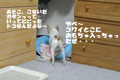 蟆城未+1129_convert_20121001132627