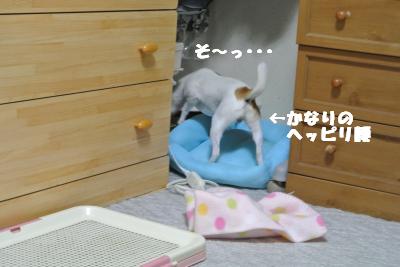 蟆城未+1130_convert_20121001132654