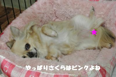 蟆城未+1134_convert_20121003093822