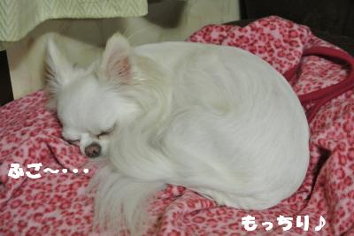 蟆城未+1135_convert_20121003093901