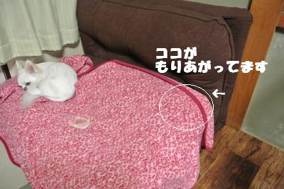 蟆城未+1137_convert_20121003093938