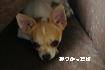 蟆城未+1141_convert_20121003094008