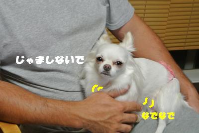 蟆城未+1138_convert_20121003094217