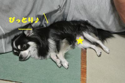 蟆城未+1146_convert_20121003094425