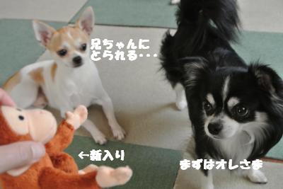 蟆城未+1255_convert_20121004133337