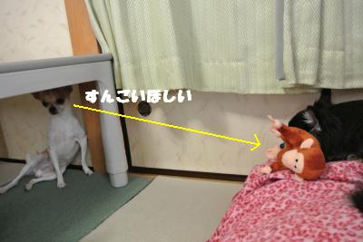 蟆城未+1247_convert_20121004133430