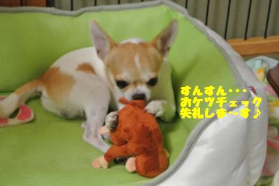 蟆城未+1302_convert_20121004133736