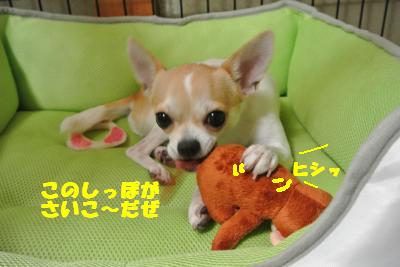 蟆城未+1305_convert_20121004133807