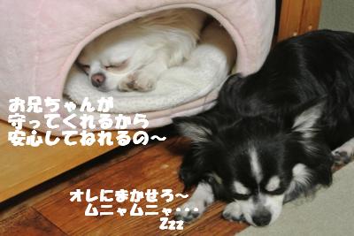 蟆城未+1074_convert_20121005103905