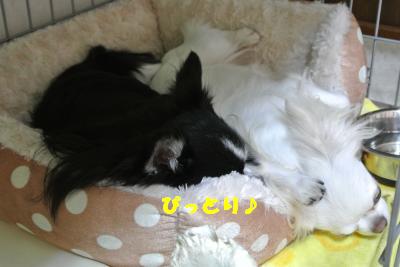 蟆城未+1088_convert_20121005103946