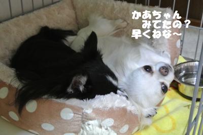 蟆城未+1089_convert_20121005104027