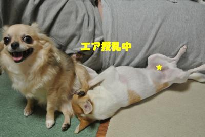 蟆城未+1148_convert_20121005104536