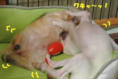 蟆城未+1152_convert_20121005104658