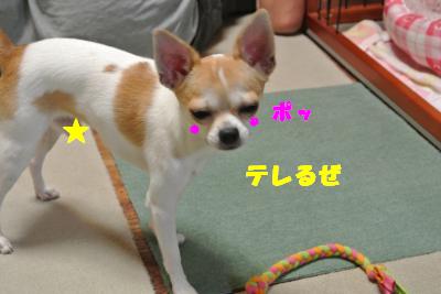 蟆城未+1118_convert_20121005104609