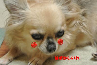 蟆城未+1067_convert_20121005104830