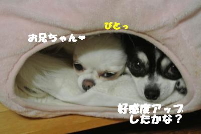 蟆城未+1136_convert_20121005104128