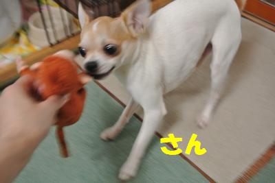 蟆城未+1299_convert_20121005142429