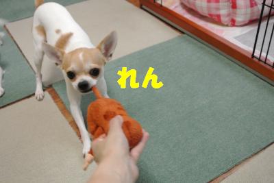 蟆城未+1300_convert_20121005142452