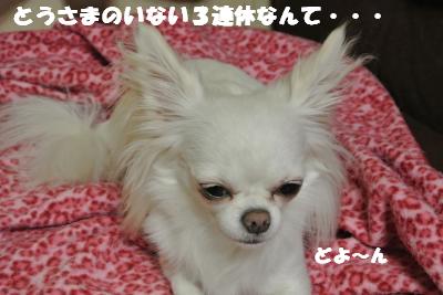 蟆城未+1053_convert_20121005142653