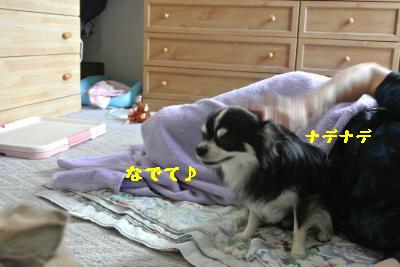 20120917豌エ荳・142_convert_20121008174017