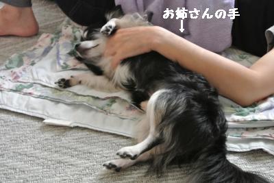 20120917豌エ荳・155_convert_20121008174121