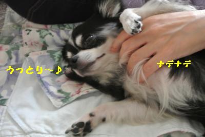 20120917豌エ荳・156_convert_20121008174155