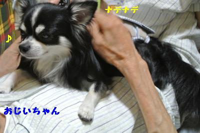 20120917豌エ荳・167_convert_20121008174337