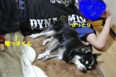 20120917豌エ荳・164_convert_20121008174303