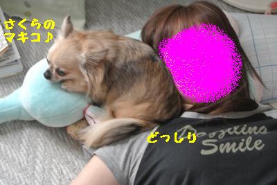 20120917豌エ荳・154_convert_20121008174501