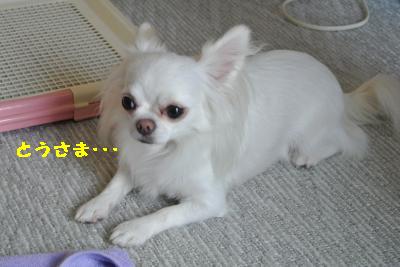 20120917豌エ荳・150_convert_20121008175149