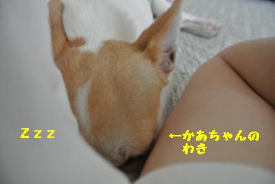 20120917豌エ荳・161_convert_20121008174904