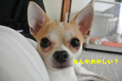 20120917豌エ荳・157_convert_20121008174954