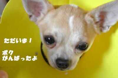 蟆城未+021_convert_20121010094358