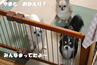 蟆城未+019_convert_20121010094516